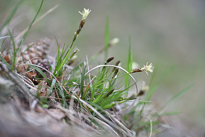 BUITEN BEELD Foto: 343865