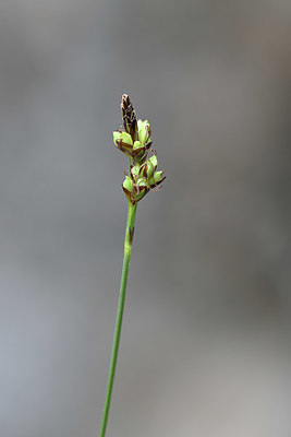 BUITEN BEELD Foto: 343868