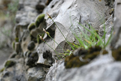 BUITEN BEELD Foto: 343869