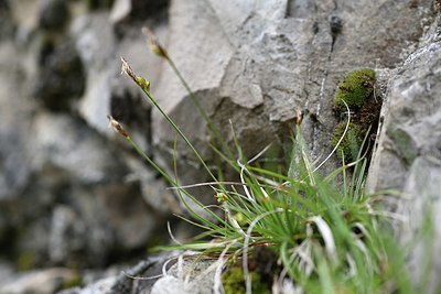 BUITEN BEELD Foto: 343870