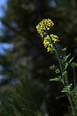 BUITEN BEELD Foto: 343902
