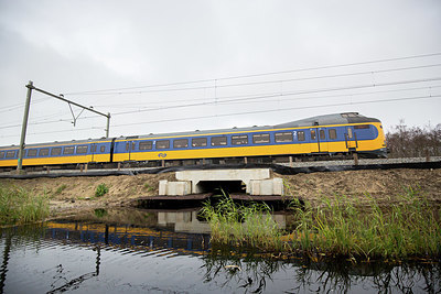 BUITEN BEELD Foto: 343953