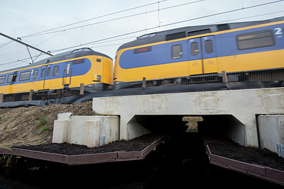 BUITEN BEELD Foto: 343956