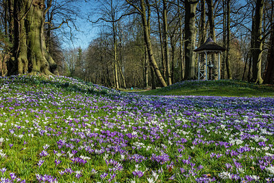 BUITEN BEELD Foto: 344038