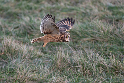 BUITEN BEELD Foto: 344063