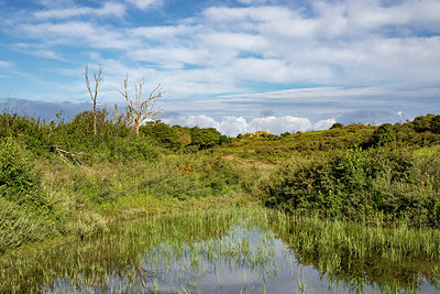 BUITEN BEELD Foto: 344127