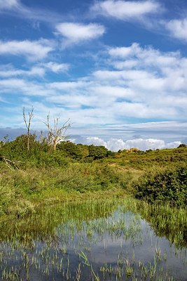 BUITEN BEELD Foto: 344128