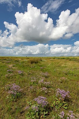 BUITEN BEELD Foto: 344146