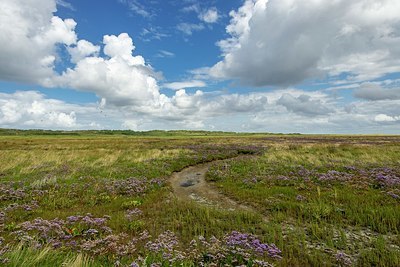 BUITEN BEELD Foto: 344161