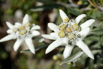 BUITEN BEELD Foto: 344174