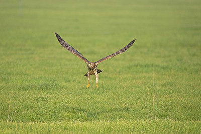 BUITEN BEELD Foto: 344312