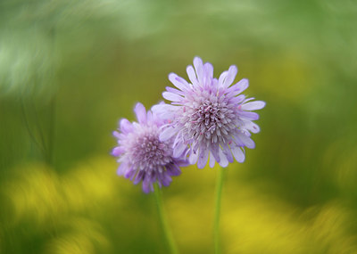 BUITEN BEELD Foto: 344360