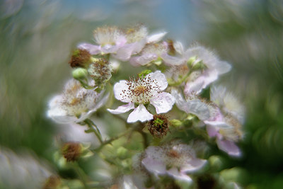 BUITEN BEELD Foto: 344366