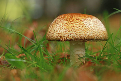 BUITEN BEELD Foto: 344447