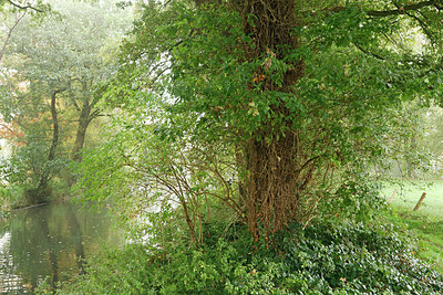 BUITEN BEELD Foto: 344451