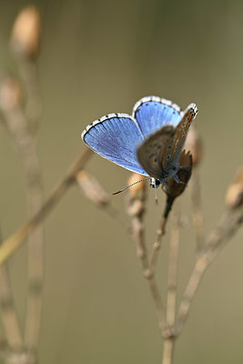 BUITEN BEELD Foto: 344518