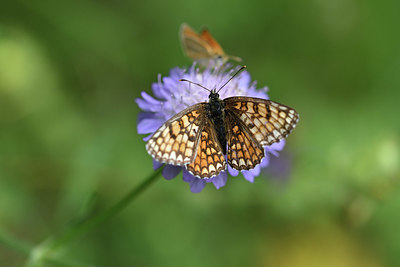BUITEN BEELD Foto: 344520
