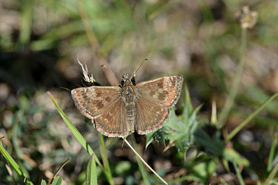 BUITEN BEELD Foto: 344545