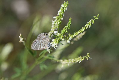 BUITEN BEELD Foto: 344549