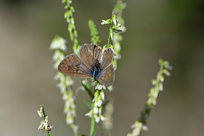 BUITEN BEELD Foto: 344551