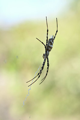 BUITEN BEELD Foto: 344560