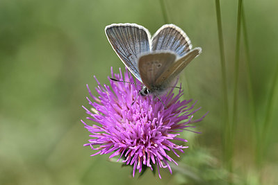 BUITEN BEELD Foto: 344571