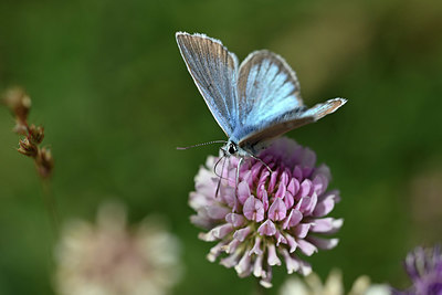 BUITEN BEELD Foto: 344578