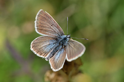 BUITEN BEELD Foto: 344581