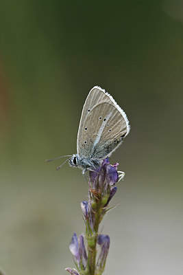 BUITEN BEELD Foto: 344590