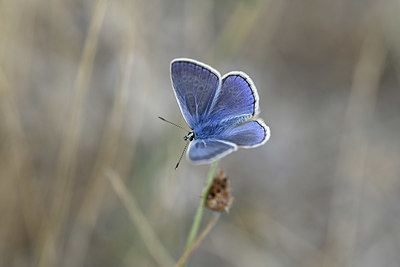 BUITEN BEELD Foto: 344628