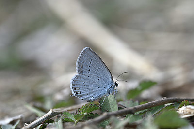 BUITEN BEELD Foto: 344637