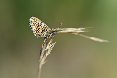 BUITEN BEELD Foto: 344693