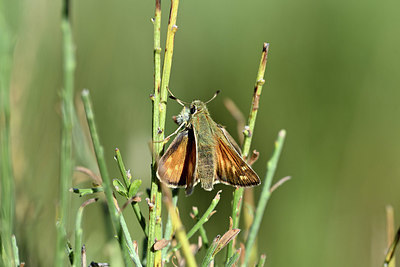 BUITEN BEELD Foto: 344702