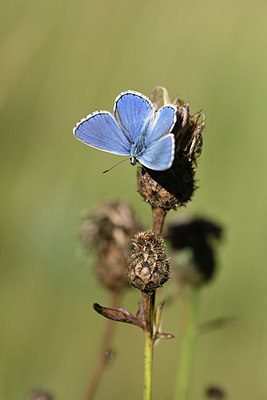 BUITEN BEELD Foto: 344741