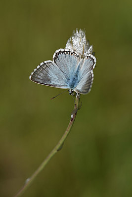 BUITEN BEELD Foto: 344742