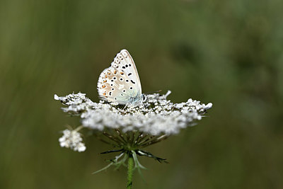 BUITEN BEELD Foto: 344744