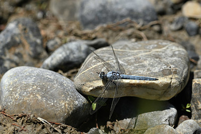 BUITEN BEELD Foto: 344750