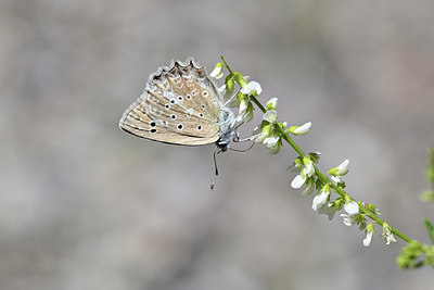 BUITEN BEELD Foto: 344774