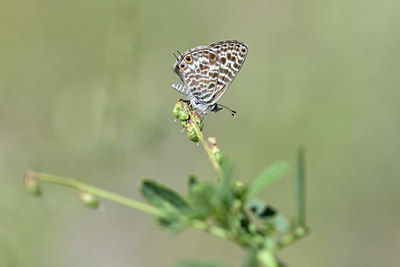 BUITEN BEELD Foto: 344777