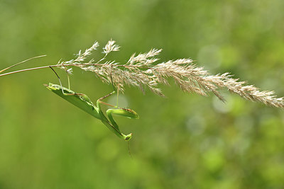 BUITEN BEELD Foto: 344956