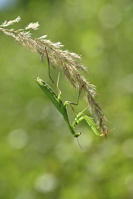 BUITEN BEELD Foto: 344957