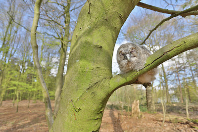 BUITEN BEELD Foto: 345068