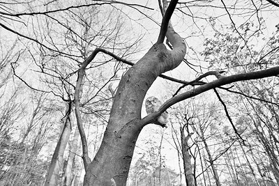 BUITEN BEELD Foto: 345070