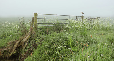 BUITEN BEELD Foto: 345089