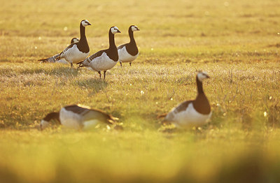 BUITEN BEELD Foto: 345114