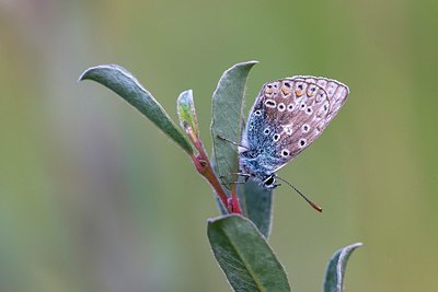 BUITEN BEELD Foto: 345153