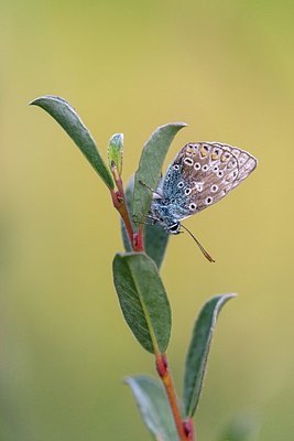 BUITEN BEELD Foto: 345154