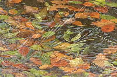 BUITEN BEELD Foto: 345200
