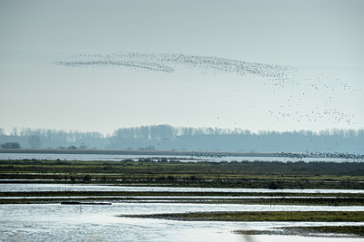 BUITEN BEELD Foto: 345209