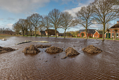 BUITEN BEELD Foto: 345431